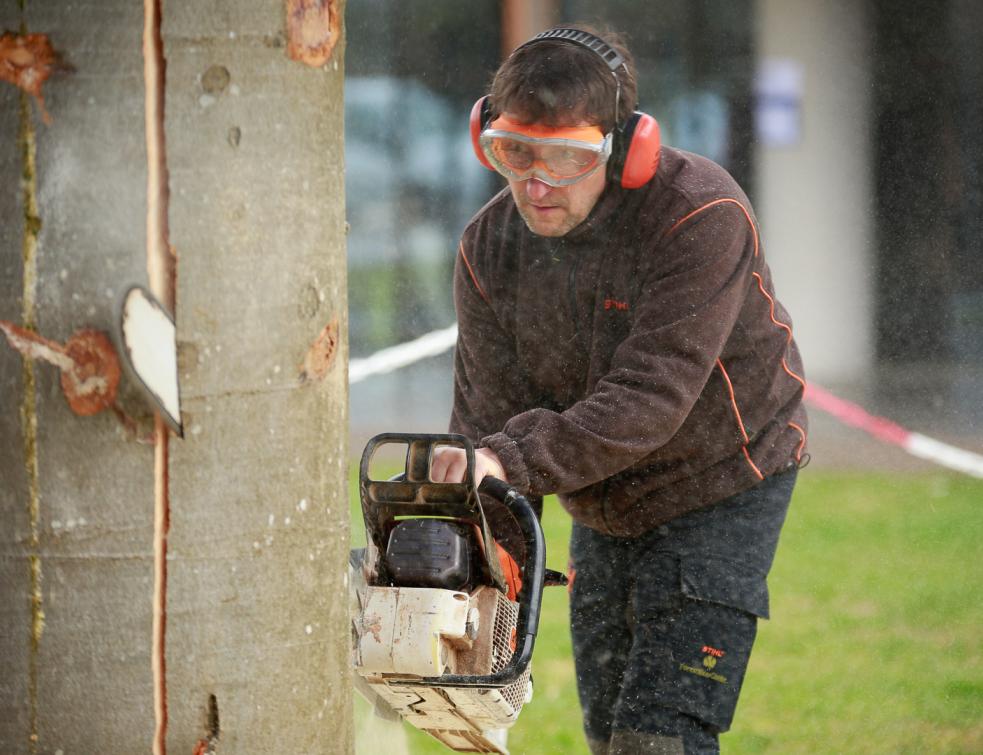 De la construction à la sculpture bois grâce à la tronçonneuse
